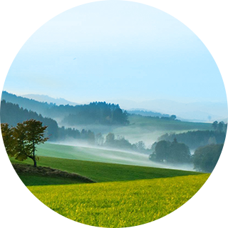 2121�Ƿ���(�й���)�����ٷ���վ