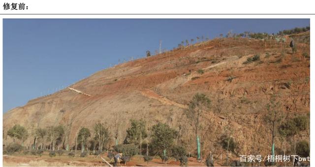 ����������Ŀ