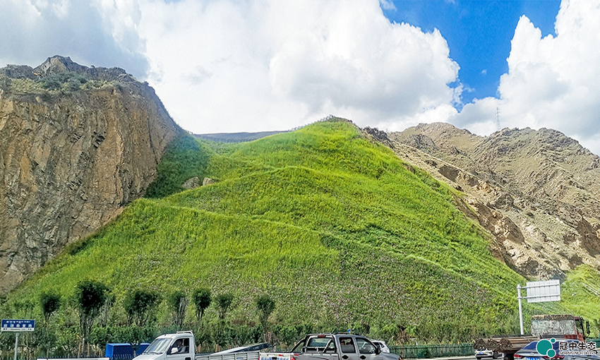 2121�Ƿ���(�й���)�����ٷ���վ