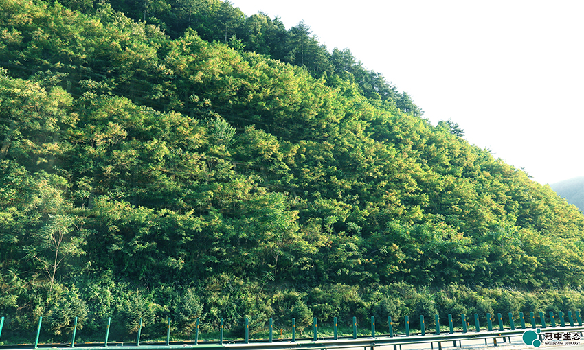 2121�Ƿ���(�й���)�����ٷ���վ