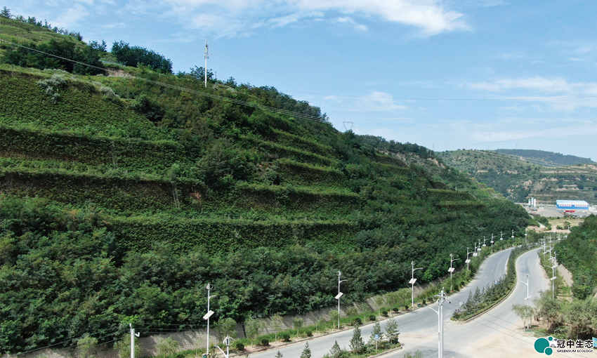 2121�Ƿ���(�й���)�����ٷ���վ