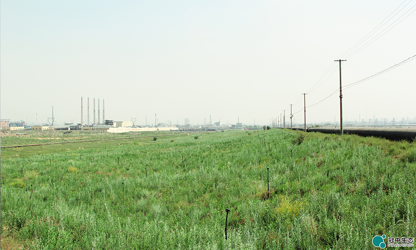 2121�Ƿ���(�й���)�����ٷ���վ