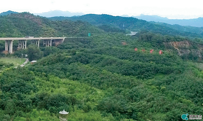 2121�Ƿ���(�й���)�����ٷ���վ