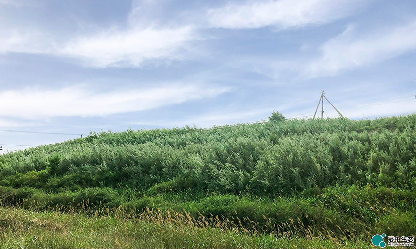 2121�Ƿ���(�й���)�����ٷ���վ