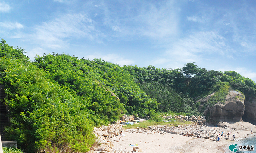 2121�Ƿ���(�й���)�����ٷ���վ